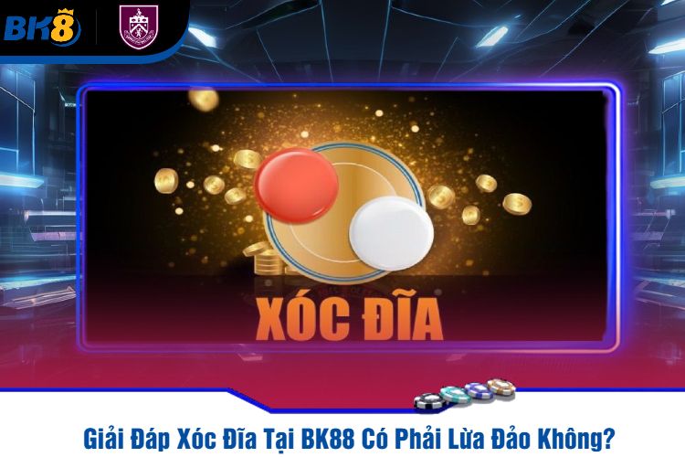 Giải Đáp Xóc Đĩa Tại BK88 Có Phải Lừa Đảo Không?